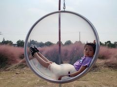 -鹅湖玫瑰文化园