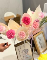 -宝生月子中心(独栋园林·福田店)