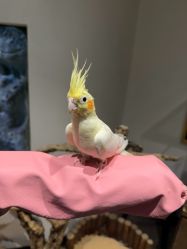 -Zoolung Zoolung动物主题公园(海信广场店)