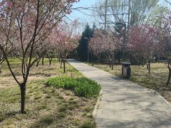 -仁和公园(顺义区)