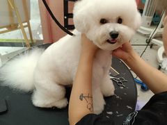 -FAELING PETS美天灵宠物(合生汇店)