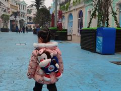 -芜湖新华联大白鲸海洋公园