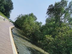 -宝安西湾红树林湿地公园