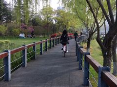 -尚贤河湿地