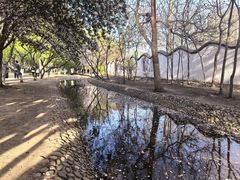 -桃花堤公园