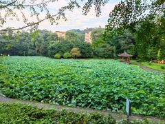 -西南交通大学(峨眉校区)