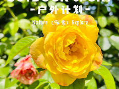 -德胜公园