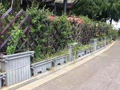 -贡湖湾湿地公园