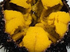 -海胆小馆(东北水饺·春柳店)