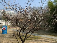 -凤城河风景区