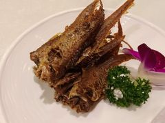 -梅龙镇酒家(南京西路总店)