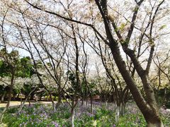 -白塘生态植物园