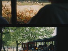 -杭州野生动物世界