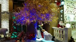 -丝情发艺 I SALON