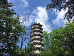 -黄椅山火山森林公园