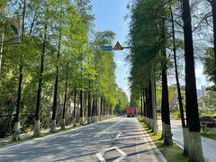 -南沙天后宫景区
