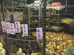-荔城生鲜盛宴(番禺旗舰店)