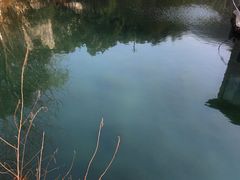 -天目湖涵田半山温泉