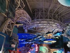 -烟台海昌鲸鲨海洋公园