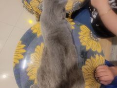 -平行世界·猫咖(首经贸店)