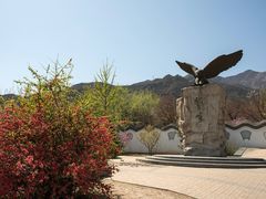 -北京鹫峰国家森林公园