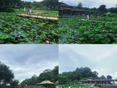 -广州莲花山旅游区