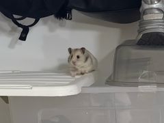 -尹三豆汁(前门旗舰店)
