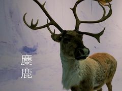 -国家自然博物馆