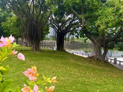 -白鹭洲公园
