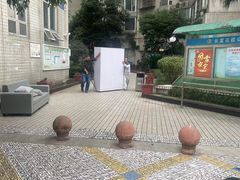 -蚂蚁搬家成都打包搬运公司