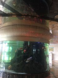-友豪锦江酒店·宴会厅