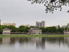 -荔湾湖公园