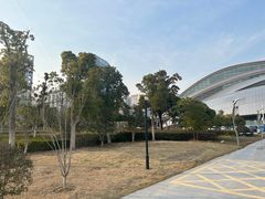 -合肥大剧院