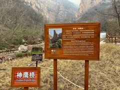 -邢台大峡谷
