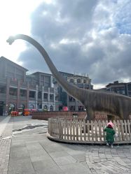 -恐龙探索乐园(磁器口店)