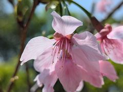 -福州大学(旗山校区)