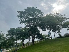 -白石龙音乐公园