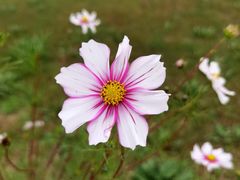 -汉长安城未央宫国家考古遗址公园