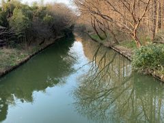 -同里国家湿地公园