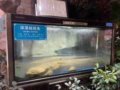 -九尊食上(生态园林酒店)