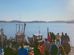 -青岛沙子口国家中心渔港