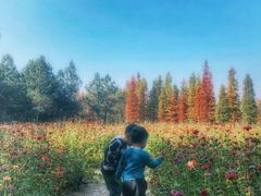 -艾溪湖湿地公园