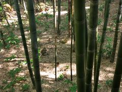 -重庆雨台山风景区
