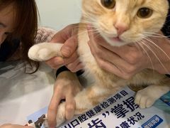 -伟伟宠物医院·CT影像中心·瑞派犬猫综合性门诊(汉口总院)