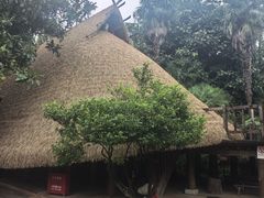 -云南民族村