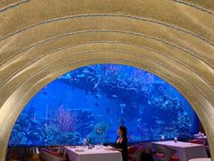 -迪拜帆船酒店海底餐厅