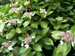 -杭州城北体育公园