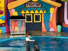 -海合安武汉极地海洋公园