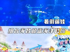 -烟台海昌鲸鲨海洋公园