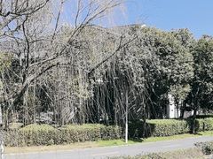 -柯岩风景区